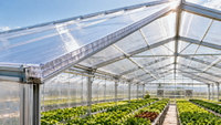//jlrorwxhpjinlo5p.ldycdn.com/cloud/piBpiKnllqSRmlqorjojip/Greenhouse-Roof-With-Polycarbonate-Hollow-Sheets.jpg