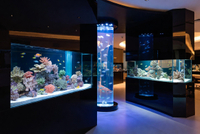 //jlrorwxhpjinlo5p.ldycdn.com/cloud/pjBpiKnllqSRqlkikqplip/Custom-Acrylic-Aquarium-Design-Flexibility-Showcase.jpg